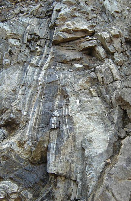Dobras ptigmáticas foram observadas em rochas cálcio-silicatadas (Fig. 6C), evidenciando diferenças de comportamento reológico das rochas durante a deformação.