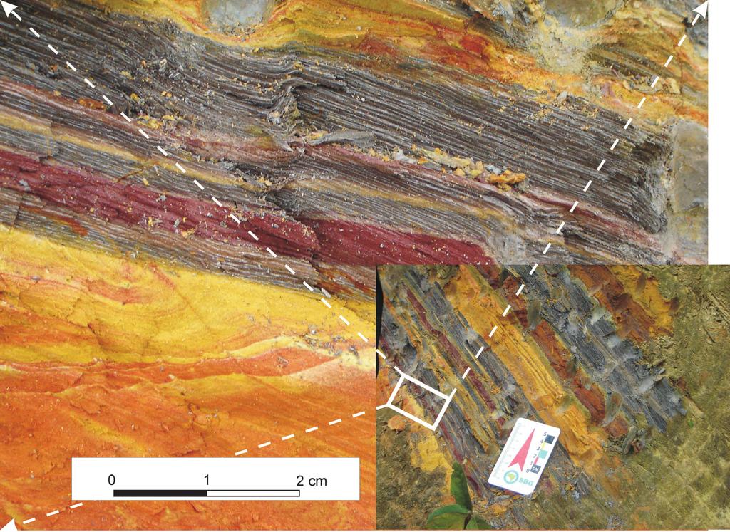 TERRÆ DIDATICA 10-2:121-139 2014 Figura 3. Aspecto mesoscópico de bandamento diferenciado, de escala microscópica, associado a planos da clivagem de crenulação S2.