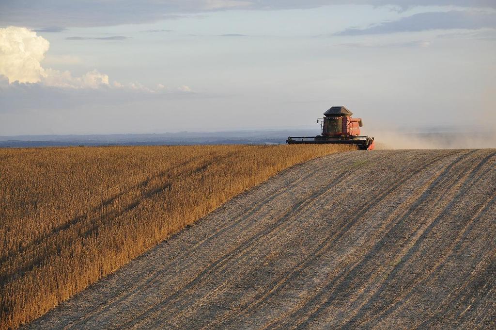 PRESSÕES GLOBAIS PRODUÇÃO MODERNA E INTENSIVA DE ALIMENTOS 70% of, the number of megacities cities with more than 10 million people is increasing: in