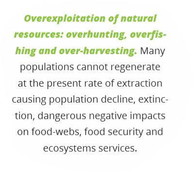 Sobre-exploração dos recursos naturais: pesca, caça extração excessiva Muitas populações não