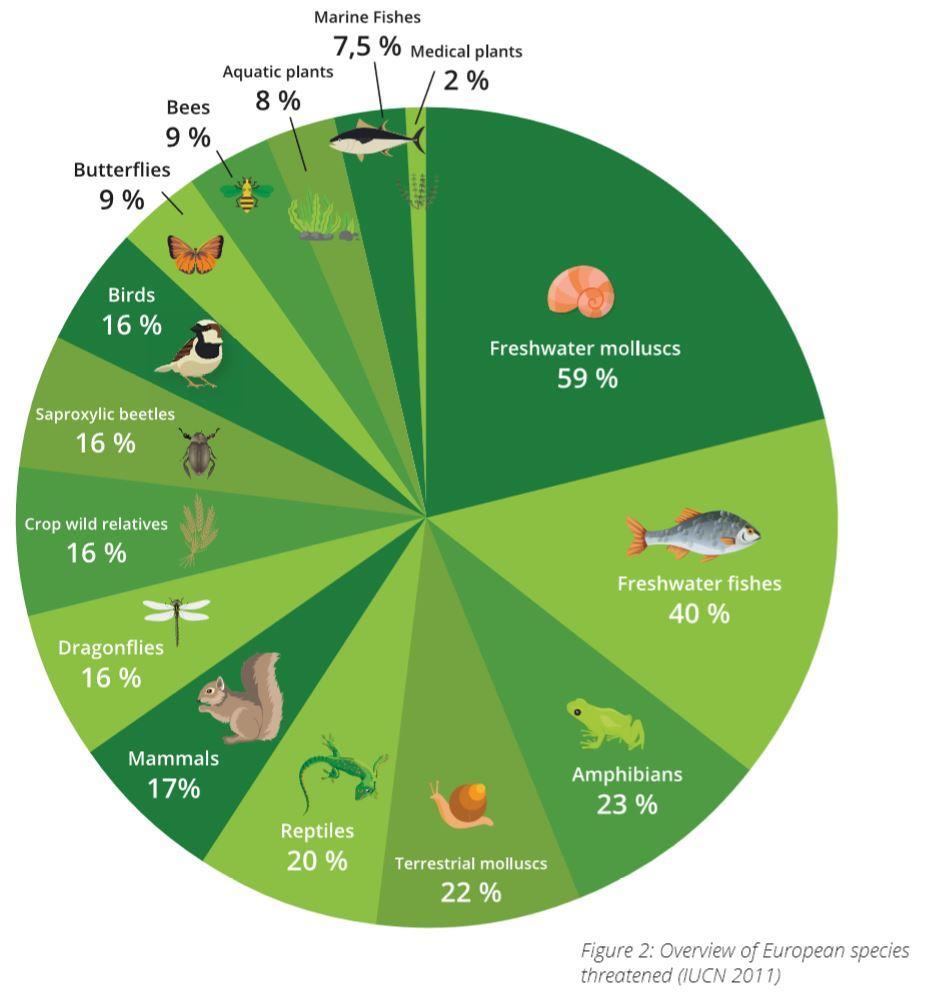 PRESSÕES GLOBAIS PERDA DE BIODIVERSIDADE 6ª extinção em massa nos 4,5 mil milhões de anos da Terra?