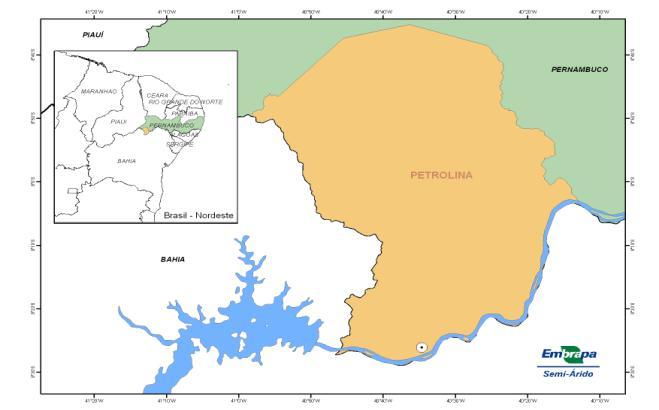 O trabalho foi realizado na área central da cidade de Petrolina-PE, (09º23'56''S, 40º30'02''O, 365 m de altitude) (Figura 1) em uma área linear de 37,4 km (Figura 2).