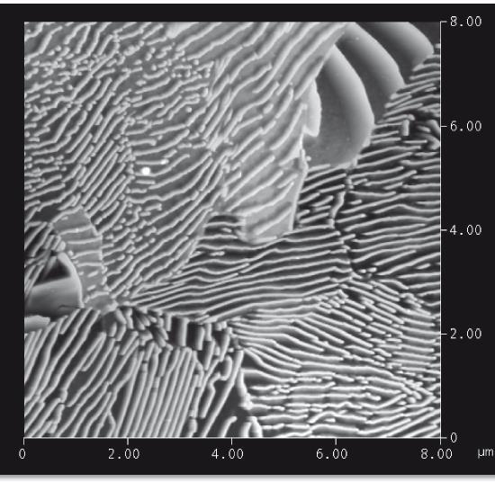 Desenvolvimento das microestruturas em ligas Fe-C Ligas eutetóides Perlita em aço eutectóide.