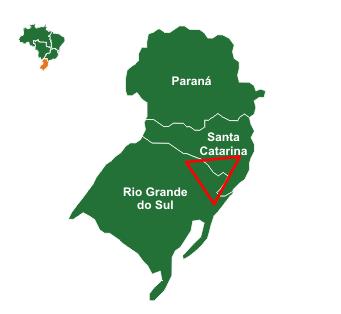 2- Metodologia Para analisar o comportamento sinótico e termodinâmico da atmosfera durante o evento de neve, utilizou-se simulações do modelo regional ETA (Mesinger, 1984), com 20 km de resolução