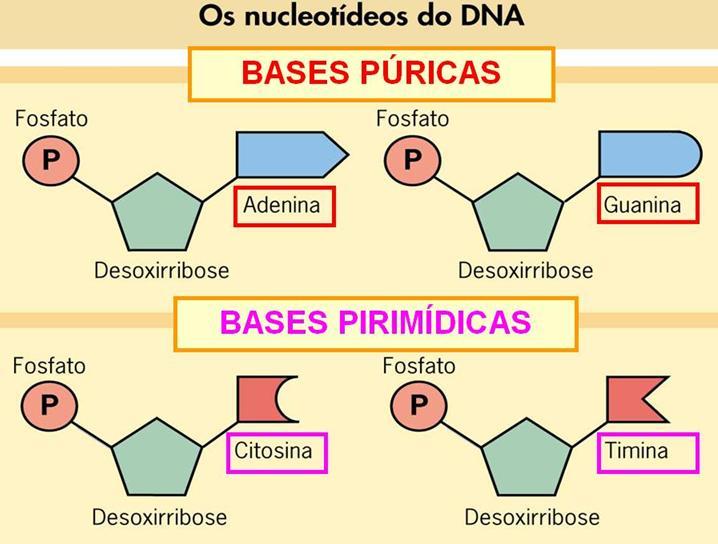 O que difere um