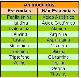 Assim, há 61 códons que especificam 20 aa.