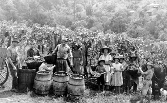 Descendentes de açorianos Gringos/estrangeiros: estrangeiros de origem germânica, italiana, polonesa, japonesa, libanesa entre outros.