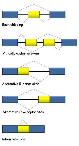 Splicing do RNA
