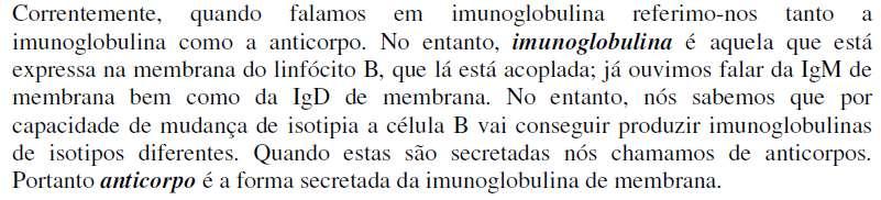 IMUNOGLOBULINAS e