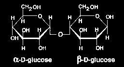 MALTOSE Glicose + Glicose C anomérico livre = açúcar redutor Maltase Ligação glicosídica entre o carbono 1 de