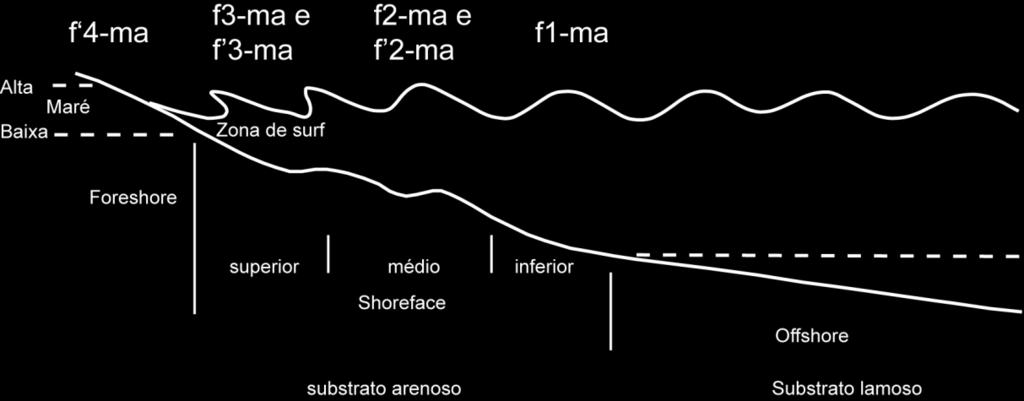 Fracalossi et al.