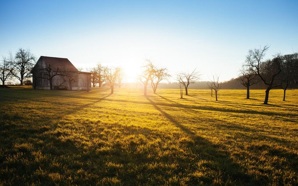 O amor é um sentimento que faz o intelecto ampliar-se infinitamente. Estudemos Kardec como alguém que está diante de um gênio! Não um gênio do mundo, mas um gênio da espiritualidade nascido no mundo.