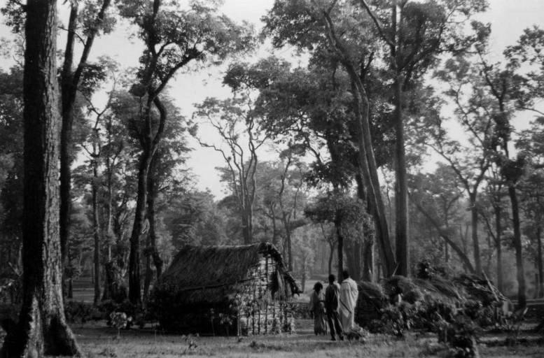 VIGA) ERA DEPOIS REVESTIDA COM ELEMENTOS