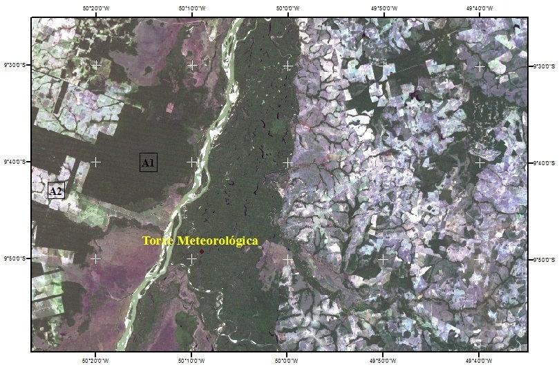 Figura 2 - Imagem do dia 03/06/2005 em composição RGB123 do TM - Landsat 5, com destaque para a localização da torre meteorológica na Ilha do Bananal e com os respectivos recortes para as áreas A1 e