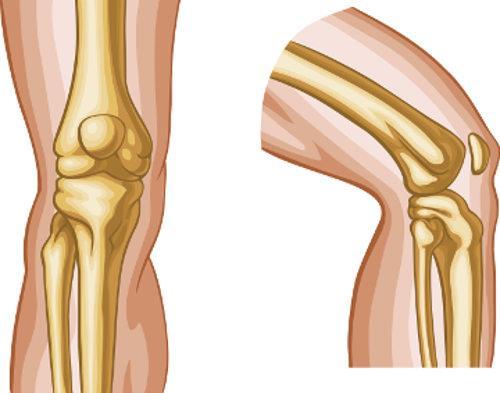 Articulações As Articulações são as partes do corpo onde os osso se unem: Existem 3 tipos de Articulações