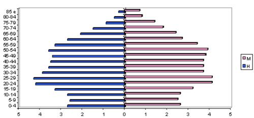 Pirâmide etária do concelho de Loures em 2001 (%) Nos grupos etários funcionais é entre os de idade compreendida entre os 0 e os 14 anos e os de 65 e mais anos que é visível a maior alteração.