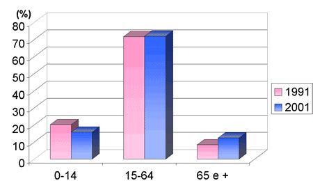 O segundo grupo que em 1991 representava 8,3% dos aqui residentes tem, em 2001, um peso de 12,3%.