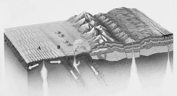 Na figura 3 está esquematizado um bloco diagrama relativo à dinâmica das placas litosféricas. Figura 3 Na resposta a cada um dos itens de 1. a 4.