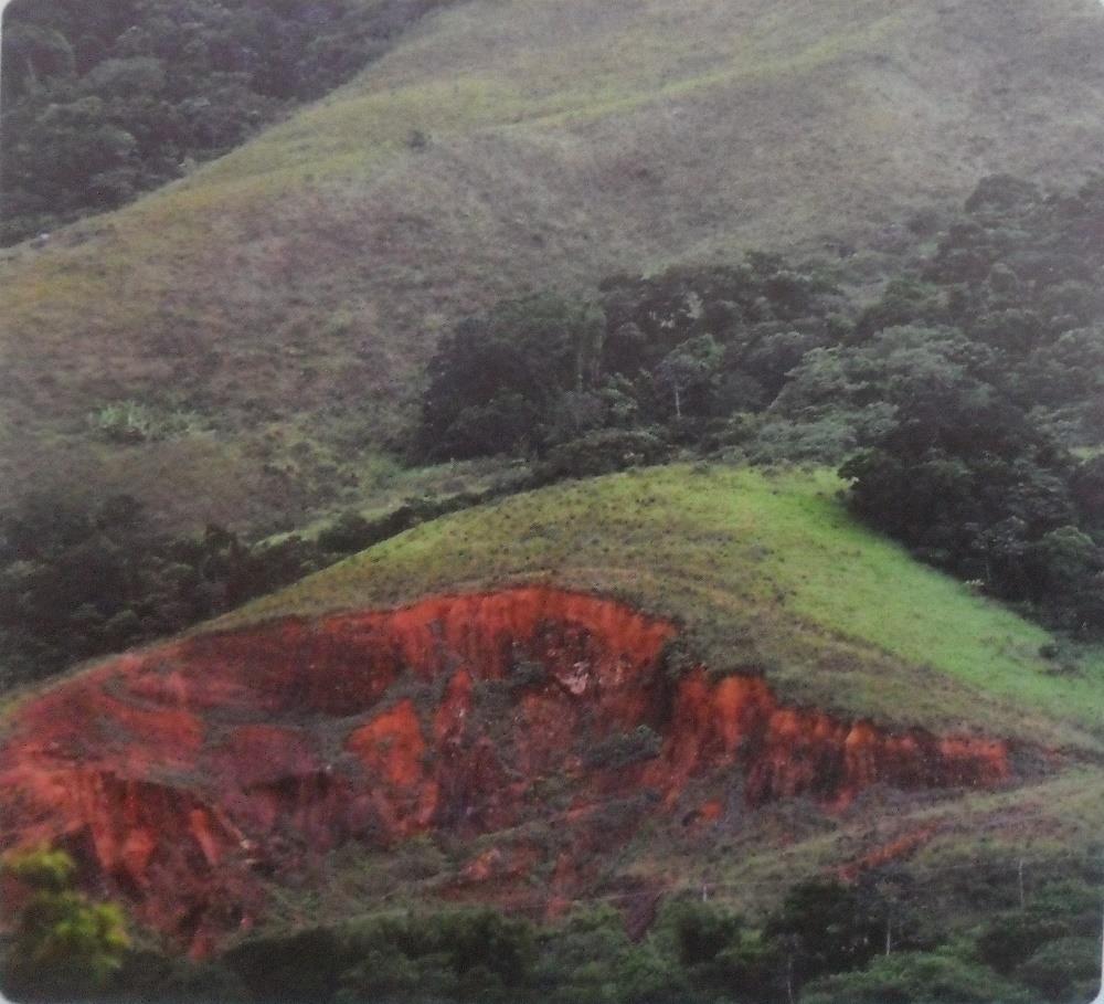 Quando a cobertura vegetal é retirada, uma das primeiras consequências é a erosão.