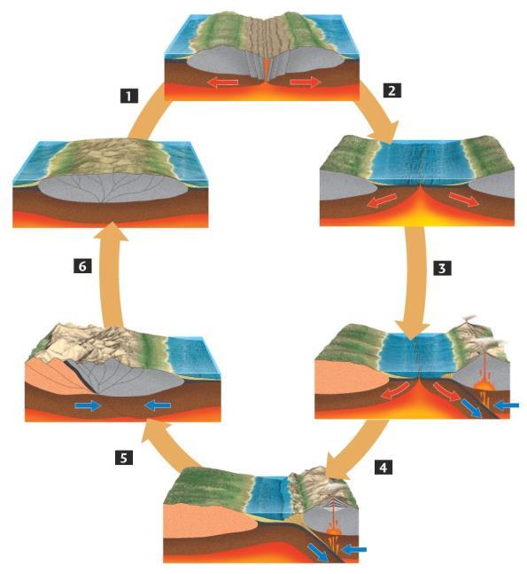 Resumo do Ciclo de Wilson 1) Supercontinente formado; 2) Fragmentação de continentes por incidência de hot spots, com formação de rifte e adição magmática; 3) Abertura de bacia oceânica; 4) Crosta