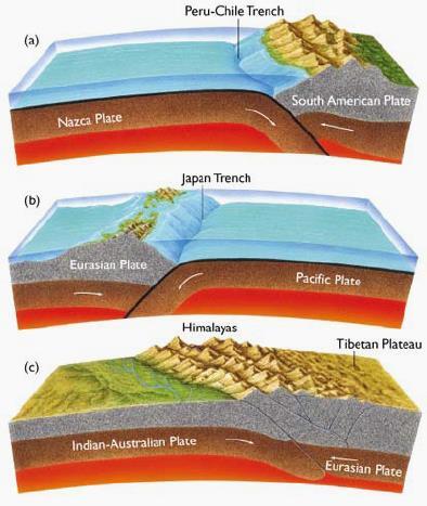 Limites (compressionais): convergentes Placas convergem, gerando zonas de subducção, fossas oceânicas e cadeias de montanhas; Quando isso ocorre, placas de