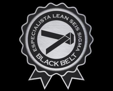 Green Belt para Black Belt é direcionado aos profissionais que já fizeram a capacitação em Green Belt e