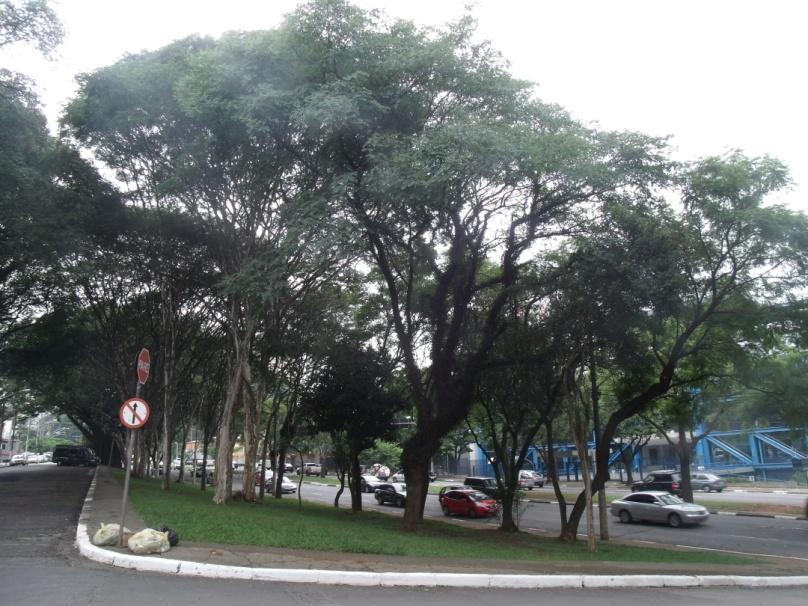 praça.