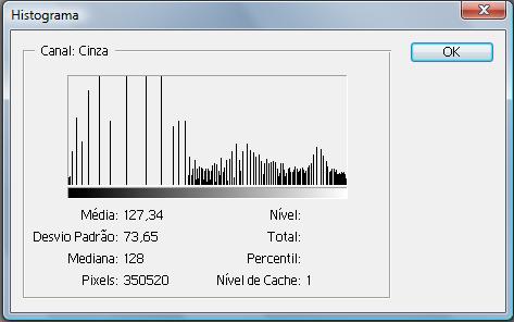 cinza aparecem com a mesma freqüência (BASTOS, 2010). A equalização reduz o contraste em áreas muito claras ou muito escuras em uma imagem, para que os tons de cinza tenham a mesma frequência.