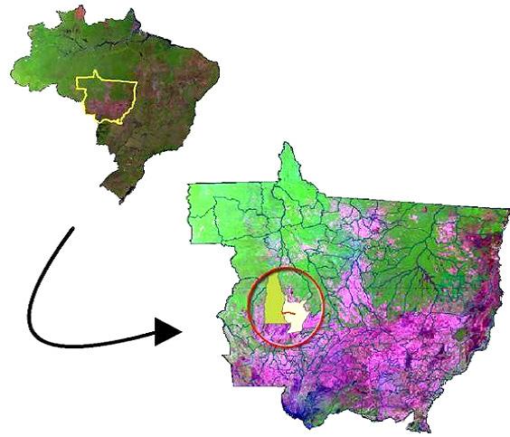 17 Figura 1 Mapa de localização da Terra Indígena Utiariti, municípios de Campo Novo dos Parecis e Sapezal, estado de Mato Grosso, com destaque para a área de estudo. Fonte: SINFRA (2008).