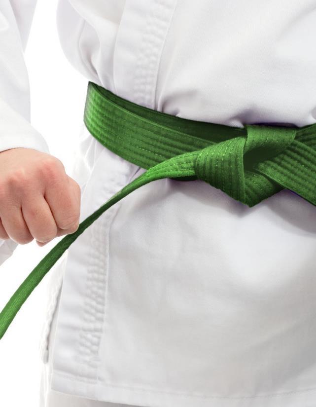 2 Seja um Green Belt Completo O Pacote Green Belt para Engenheiros une a filosofia Lean Seis Sigma com técnicas para gerenciamento de projetos.