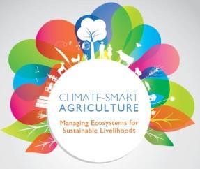 Climate-smart agriculture (CSA) Agricultura inteligente face ao clima É composta por três pilares principais: 1. Aumento sustentável da produtividade agrícola e dos rendimentos 2.
