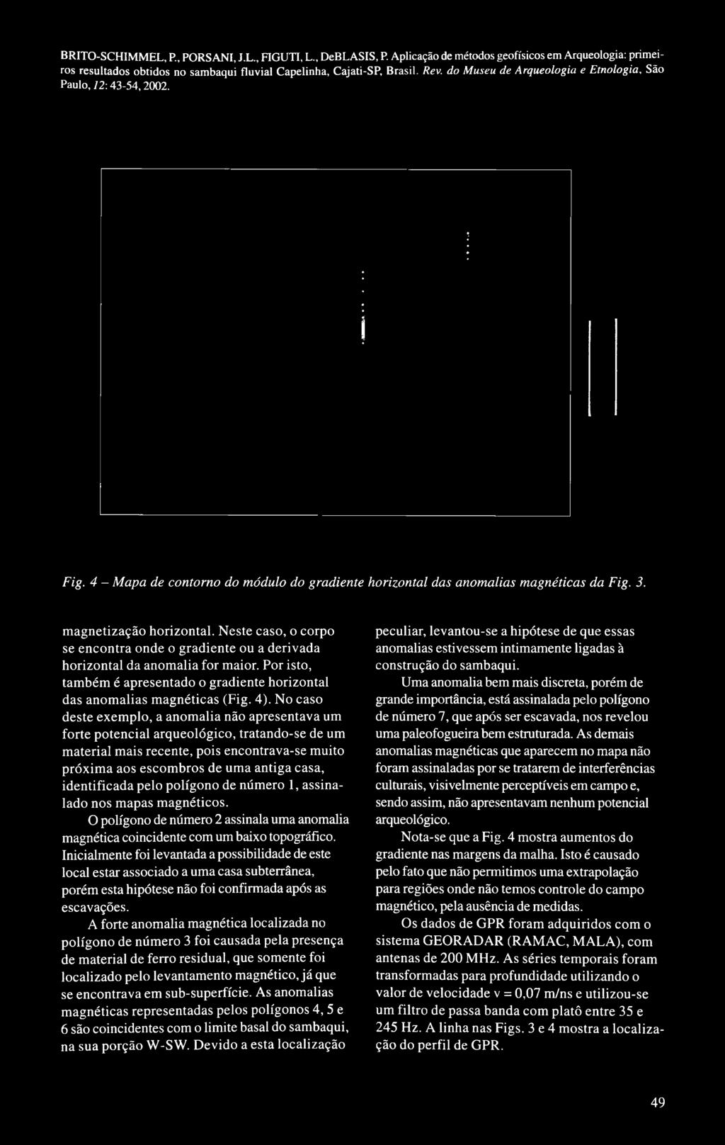 identificada pelo polígono de número 1, assinalado nos mapas magnéticos. O polígono de número 2 assinala uma anomalia magnética coincidente com um baixo topográfico.