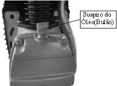 Antes de colocar o filtro retire o protetor plástico transparente e após coloque o filtro conforme indicado na fig.9.