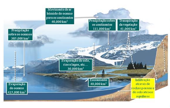 Cerca de 15% da água que precipita sobre a superfície da Terra