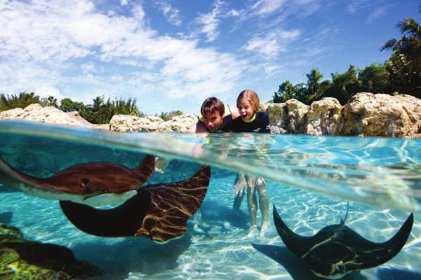 ULTIMATE PACKAGE Ultimate Package inclui: Uma visita ao Discovery Cove* em data pré reservada e visitas ilimitadas aos parques: SeaWorld Orlando, Busch Gardens Tampa e ao Aquatica por 14 dias