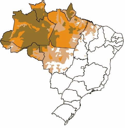 Manual de Diagnóstico Laboratorial da Malária No Brasil, onde a transmissão da malária não é completamente estável, de acordo com a incidência parasitária anual (IPA) costuma-se classificar as áreas