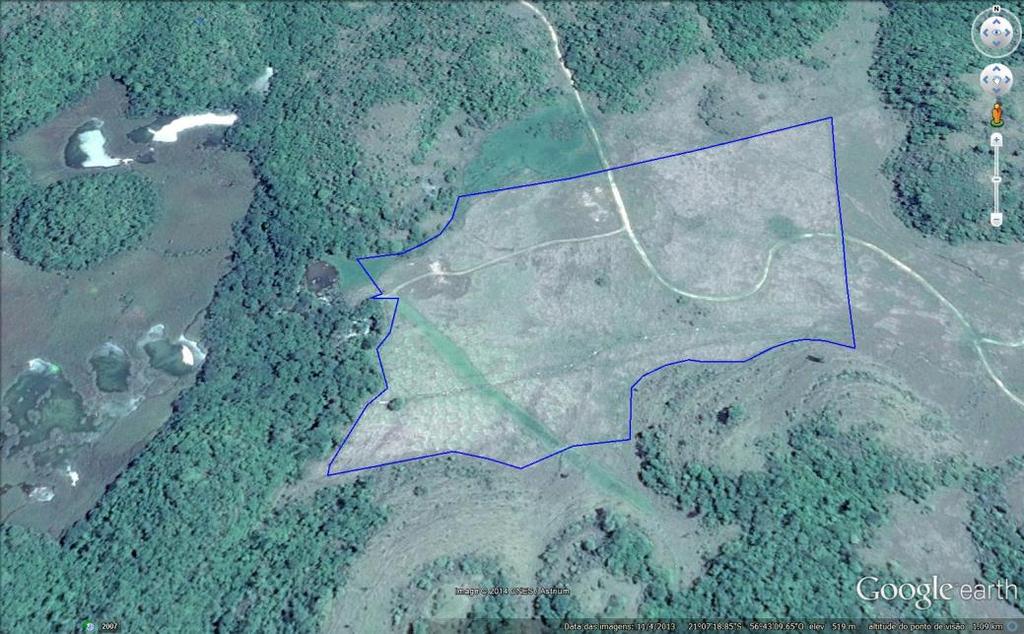 Imagem aérea da área do plantio 10 ha A área destinada a recuperação florestal está