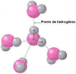 oxigênio de outra molécula; resulta na formação de ligações denominadas