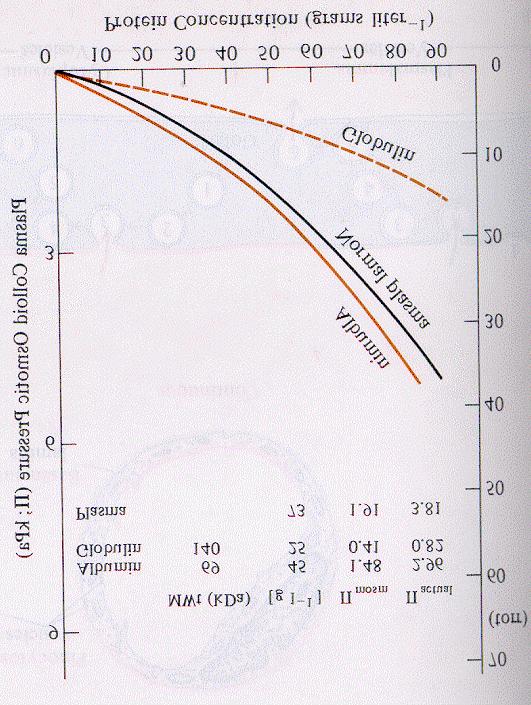 Pressão coloidosmótica é uma função da [proteínas] e seus pesos moleculares como essas têm carga negativa, ocorre uma redistribuição de