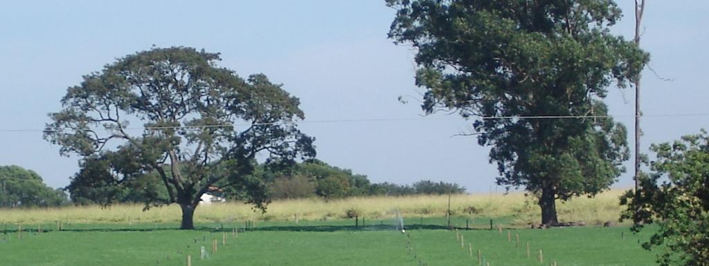 MANEJO DA IRRIGAÇÃO