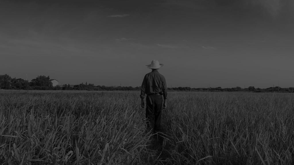 Cenário Brasileiro As deficiências educacionais na área rural exigem