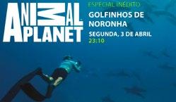 Socioambiental, TV Tribuna/ Globo, 