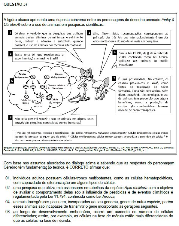 02. Correta. 04. Incorreta. As primeiras plantas vasculares (pteridófitas) surgiram na Era Paleozoica, há cerca de 400 milhões de anos. 08. Correta. 16. Incorreta. O gráfico mostra um crescimento gradual no número de famílias taxonômicas.