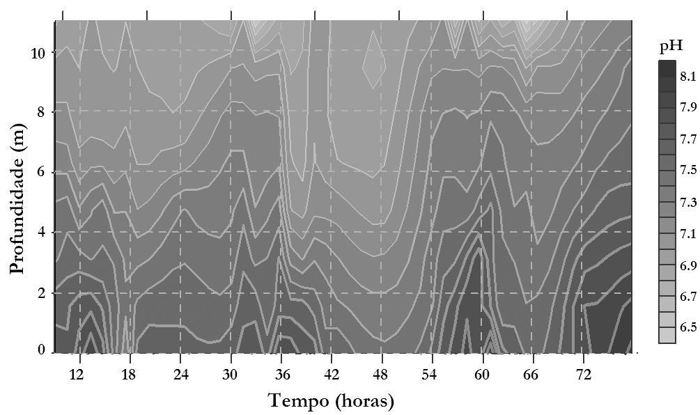 Figura 7 Superposição dos perfis de Temperatura (isotermas) e de Oxigênio Dissolvido (escala de cinza) ao longo da campanha de três dias.