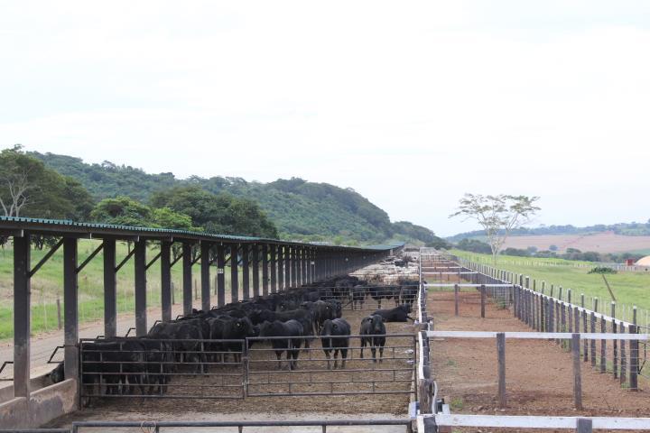 Fazenda Santa