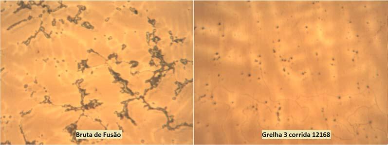 A análise dos resultados de microscopia ótica para