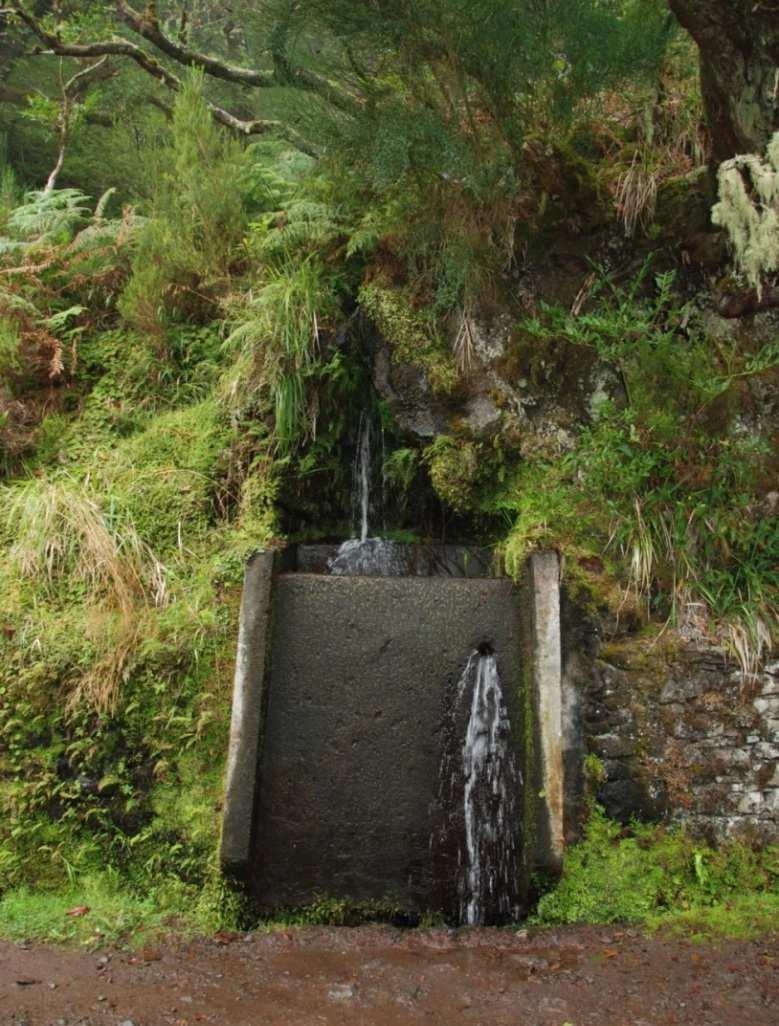 Na Madeira, existe um sistema de canais, as levadas, que recolhem e transportam a água das nascentes.