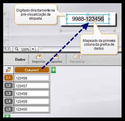 Trabalhar com dados Introduzir os dados directamente num objecto de texto ou código de barras na etiqueta Os dados adicionados directamente à etiqueta surgem no mesmo local em todas as etiquetas