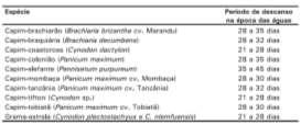 Período de descanso Informações básicas Corredores em nível - Largura de 3,6 (<50 animais) a 8 m (>50 animais), livre de pedras e ligados à sala de ordenha; Período de ocupação de no máximo 7 dias;