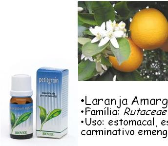 Família: Papaveraceae Uso: hipnótico, analgésico e